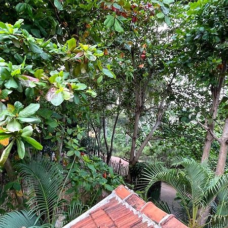 New Roy Guest House Kalkudah  Luaran gambar