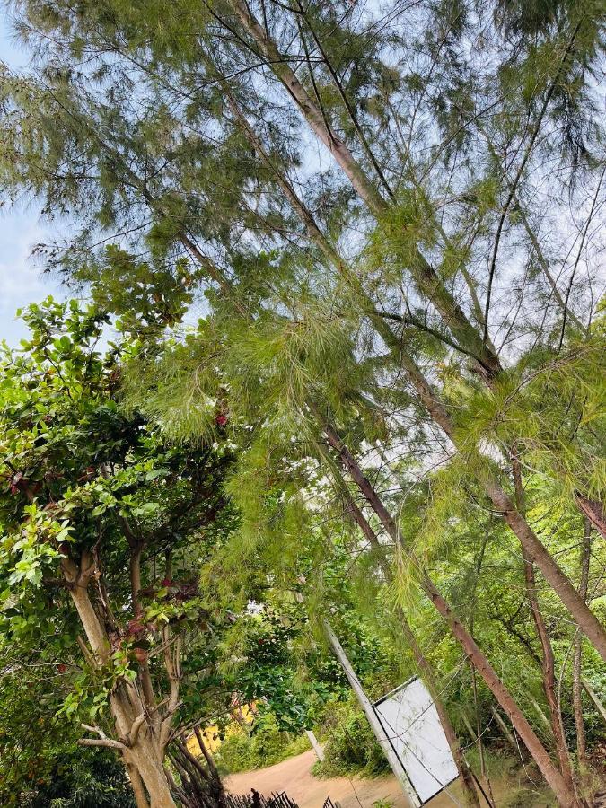 New Roy Guest House Kalkudah  Luaran gambar